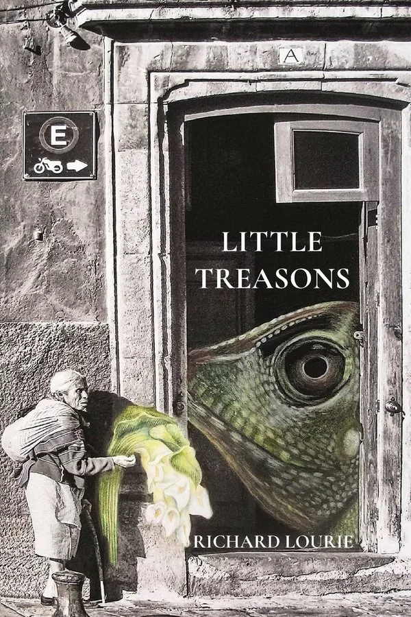 Little Treasons cover